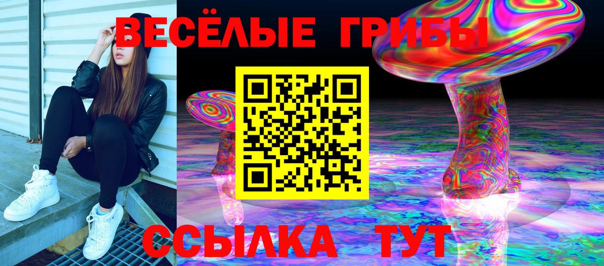 Серов  Псилоцибиновые грибы Psilocybe  Вход с VPN 